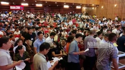 Nguy cơ thổi giá từ những phiên đấu giá đất