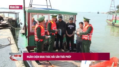 Ngăn chặn khai thác hải sản trái phép