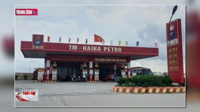 Xem xét tước giấy phép hai doanh nghiệp lạm dụng quỹ bình ổn xăng dầu