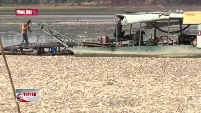 Hàng trăm tấn cá chết nổi trắng hồ Sông Mây