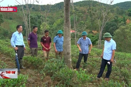 Xây dựng bản lĩnh chính trị - Chìa khóa vượt khó khăn, thử thách