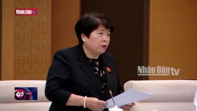 Cho ý kiến về Luật Việc làm (sửa đổi)