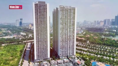 Ngăn chặn đầu cơ, găm giữ đất