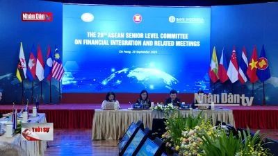 Thúc đẩy đối thoại chính sách vì sự ổn định khu vực tài chính