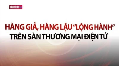 Hàng giả, hàng lậu ''lộng hành'' trên sàn thương mại điện tử