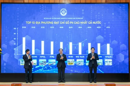 Công bố 10 địa phương đạt Chỉ số PII cao nhất.