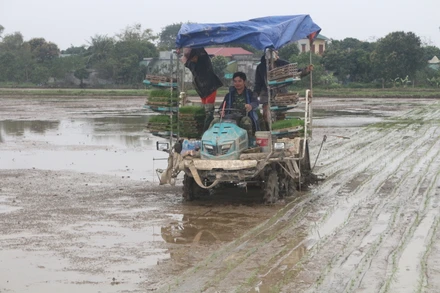 Máy cấy của Hợp tác xã dịch vụ nông nghiệp thị trấn Tân Thanh, huyện Thanh Liêm.