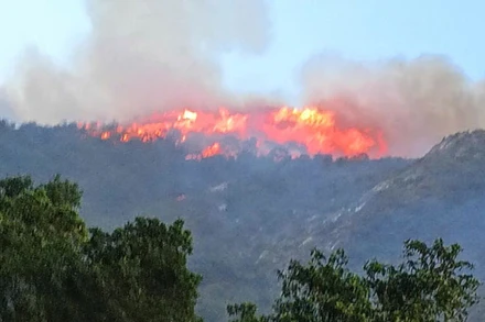 Hà Nam dập tắt hoàn toàn cháy rừng Ba Sao ngay trong đêm, bảo đảm an toàn khu vực đường dây 500kV đi qua.