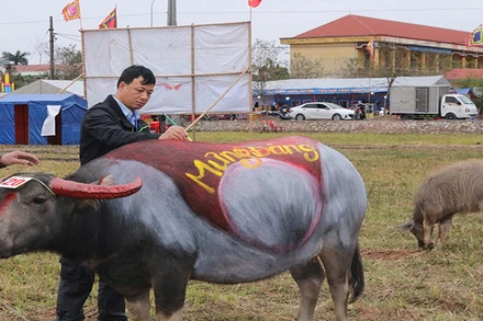 Các họa sĩ chọn chủ đề mừng đảng, mừng xuân để vẽ trang trí trâu.
