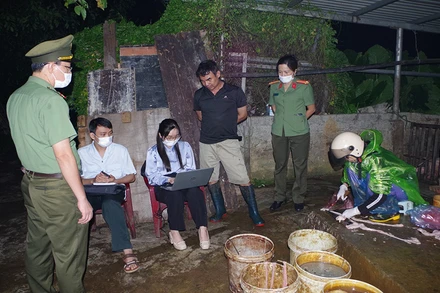 Lực lượng chức năng kiểm tra cơ sở giết mổ lợn của hộ gia đình ông Nguyễn Tiến Mạnh.