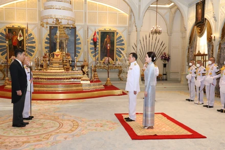 Nhà Vua Thái Lan Maha Vajiralongkorn Phra Vajiraklaochaoyuhua tiếp Đại sứ Phạm Việt Hùng. (Ảnh: Đại sứ quán Việt Nam tại Thái Lan cung cấp)