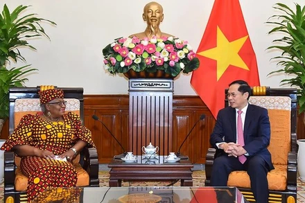 Bộ trưởng Ngoại giao Bùi Thanh Sơn tiếp Tổng Giám đốc WTO Ngozi Okonjo-Iweala. 