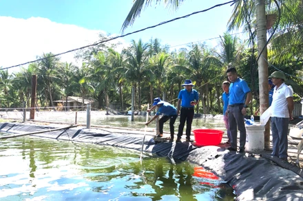 Mô hình nuôi tôm công nghệ cao Grofarm tại xã Hải Ninh, huyện Quảng Ninh, tỉnh Quảng Bình.
