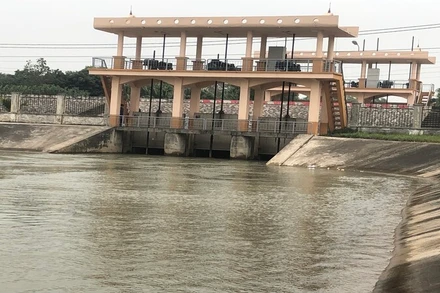 Các đơn vị thủy lợi đang tập trung lấy nước phục vụ gieo cấy lúa đông xuân.