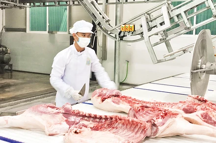 Dây chuyền giết mổ gia súc, gia cầm hiện đại tại huyện Thanh Trì.