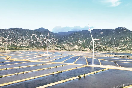 Phát triển năng lượng điện gió tại Ninh Thuận. (Ảnh Nguyễn Trung)