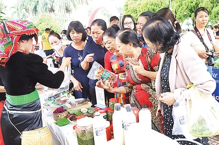 Các sản phẩm khởi nghiệp được sản xuất từ nông sản hữu cơ luôn được ưa chuộng