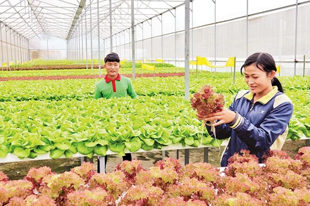 Xây dựng Bệnh viện đa khoa Trung ương khu vực Tây Nguyên 