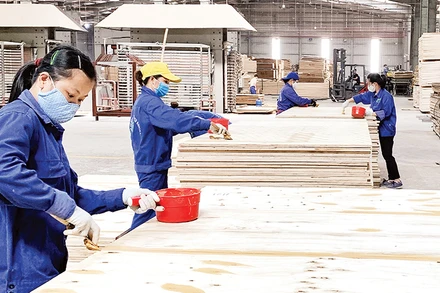 Chế biến gỗ xuất khẩu trong khu công nghiệp Thanh Bình. (Ảnh HƯƠNG DỊU)