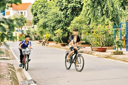 Những tuyến đường xanh, sạch, đẹp là kết quả của quá trình xây dựng nông thôn mới ở huyện Đan Phượng.