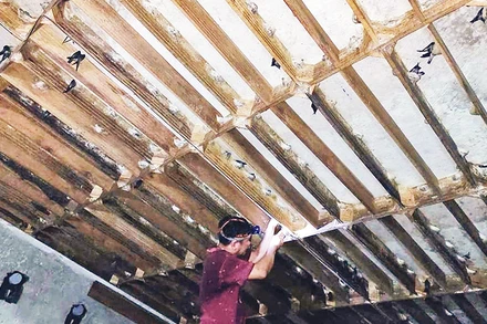 Thu hoạch tổ yến.