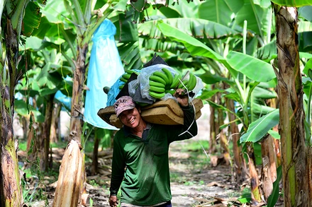 Lưới đỡ an sinh cho người yếm thế