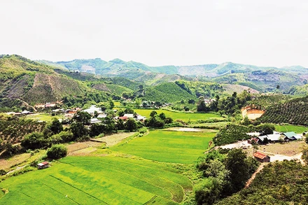 Đắk Nông đặt mục tiêu giảm nghèo chung của tỉnh từ 3% trở lên, riêng vùng đồng bào dân tộc thiểu số tại chỗ giảm từ 5% trở lên trong năm 2023.