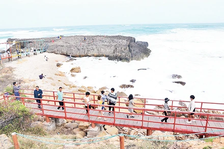 Du khách vui chơi trên phiến san hô cổ có tuổi đời hàng triệu năm tại Vườn Quốc gia Núi Chúa.