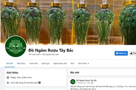 Các sản phẩm từ cây thuốc phiện được quảng cáo, mua bán trái phép trên mạng xã hội.