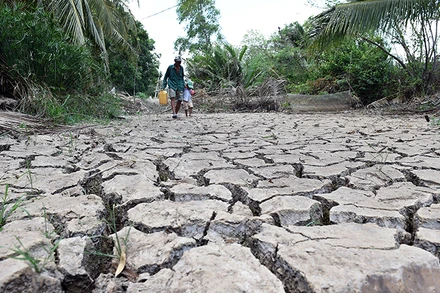 Do ảnh hưởng của biến đổi khí hậu, hạn hán, xâm nhập mặn đến sớm và nghiêm trọng hơn tại các địa phương vùng đồng bằng sông Cửu Long. (Ảnh Viết Chung)