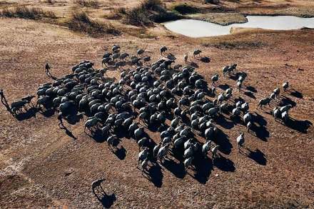 An ninh nguồn nước – Bài toán sống còn 