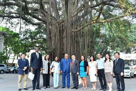 Tổng Biên tập Báo Nhân Dân Lê Quốc Minh và Phó Tổng Biên tập Báo Granma Arlin Alberty Loforte cùng cán bộ của hai cơ quan báo chí chụp ảnh lưu niệm bên gốc cây đa trong khuôn viên Báo Nhân Dân. (Ảnh: THỦY NGUYÊN)