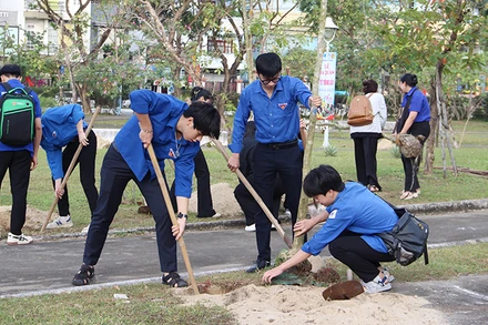 Trồng cây xanh tại Cung thiếu nhi.