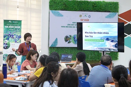 Các giáo viên tham gia tập huấn.