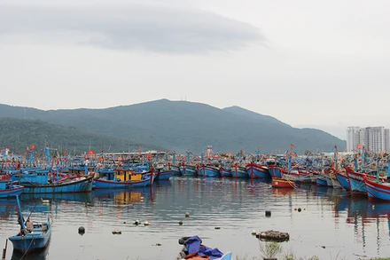 Từ Nghị quyết 255, đã có 1.149 lượt tàu cá được hỗ trợ