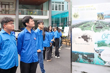 Sinh viên xem ảnh tại triển lãm.