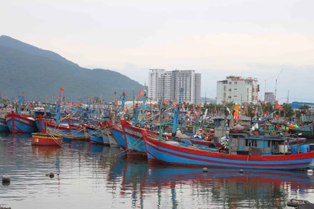 Việt Nam đã đạt được một số kết quả nổi bật trong chống khai thác IUU.