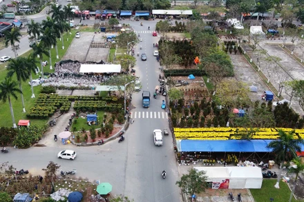 Chợ hoa tại Cung Thể thao Tiên Sơn.