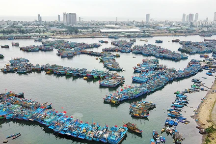 Đà Nẵng đã xử lý dứt điểm 578 tàu cá “3 không”.