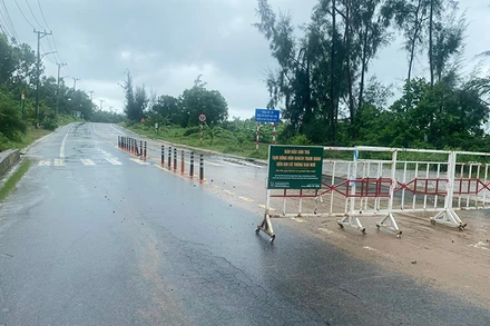 Các phương tiện không lưu thông lên bán đảo Sơn Trà đến khi có thông báo mới.