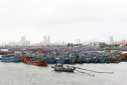 Đà Nẵng khẩn trương tập trung thực hiện các nhiệm vụ, giải pháp cấp bách, trọng tâm chống IUU.