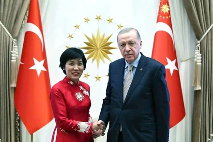 Đại sứ Đặng Thị Thu Hà và Tổng thống Thổ Nhĩ Kỳ Recep Tayyip Erdogan. (Ảnh: Đại sứ quán Việt Nam tại Thổ Nhĩ Kỳ)