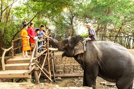 Du lịch thân thiện với voi tại Trung tâm du lịch Cầu treo Buôn Đôn.