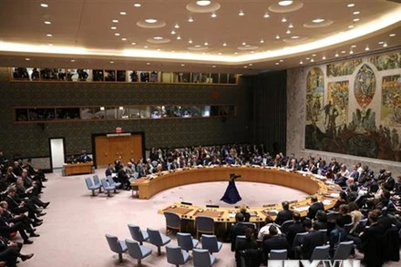 Toàn cảnh một cuộc họp của Hội đồng Bảo an Liên hợp quốc tại New York, Mỹ. 