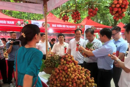 Nông nghiệp Hưng Yên hướng tới sản xuất hàng hóa theo chuỗi giá trị, hiệu quả và an toàn 