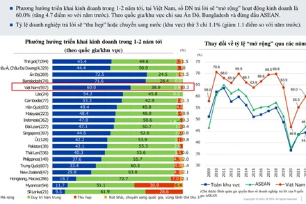 Biểu đồ về triển vọng kinh doanh của doanh nghiệp Nhật Bản tại Việt Nam. (Nguồn: JETRO Hà Nội)