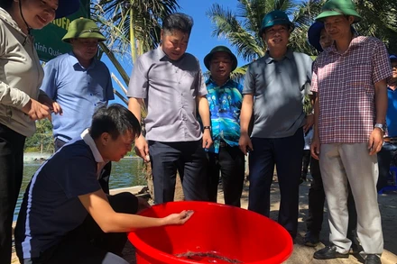 Giám đốc Trung tâm Khuyến nông quốc gia Lê Quốc Thanh thăm mô hình nuôi tôm ở Quảng Bình.