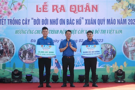 Trao cây keo giống và cây xanh cho 7 quận, huyện đoàn.