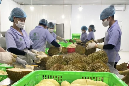 Tỉnh Đắk Nông đang có nhiều cơ chế, chính sách hỗ trợ doanh nghiệp tư nhân hoạt động thuận lợi, kinh doanh hiệu quả.