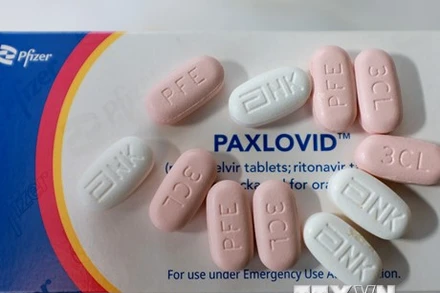 Phần lớn nguồn thu của Pfizer đến từ vaccine và thuốc điều trị Covid-19. (Ảnh: AFP/TTXVN)